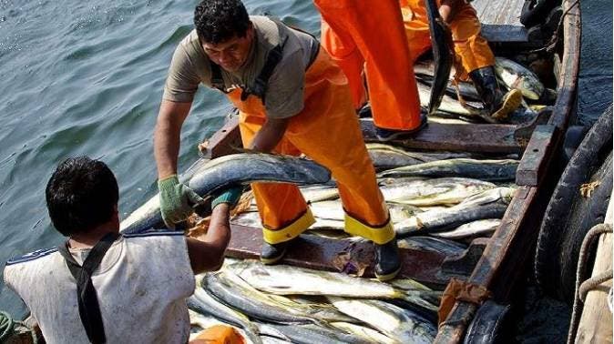 Una multa de US$11 millones mantiene 59 pescadores dominicanos detenidos en Jamaica