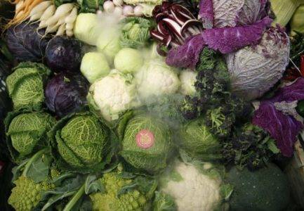 Exposición de verduras, entre ellas, repollo, coliflor y lombarda. EFE/Mariscal