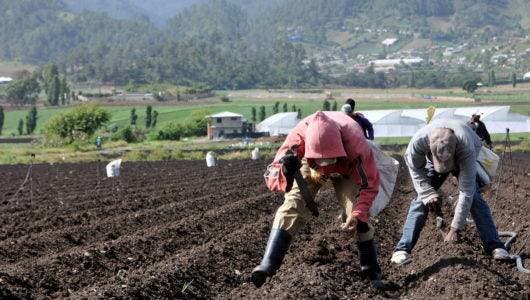 Campo Presidencia