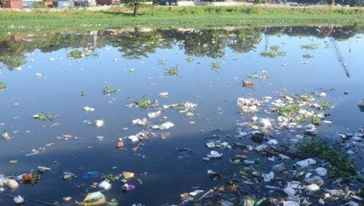 Emplazan instituciones para sanear ríos