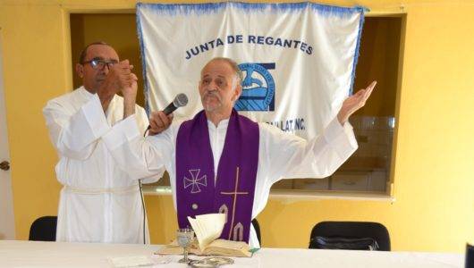 Sacerdote  pide   controlar   los permisos de corte de árboles