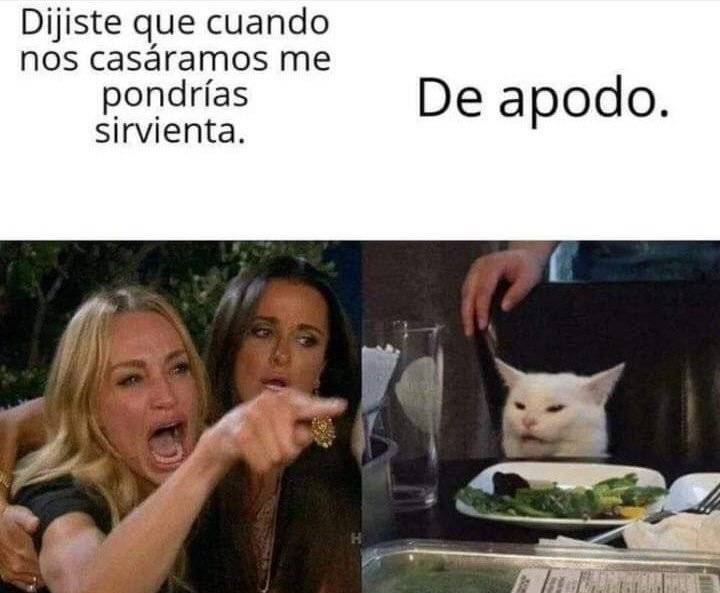 Conozca El Origen Del Meme Viral Del Gato Y La Mujer