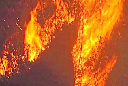 Oleada de incendios “catastróficos” en Australia han destruído unas 200 casas
