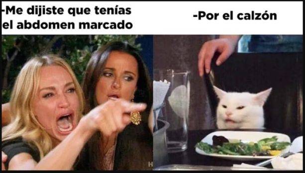 D A Del Gato Los Mejores Videos Y Memes Sobre Los Felinos