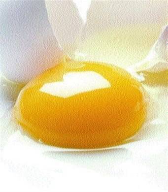 La yema de huevo, una obra de arte natural