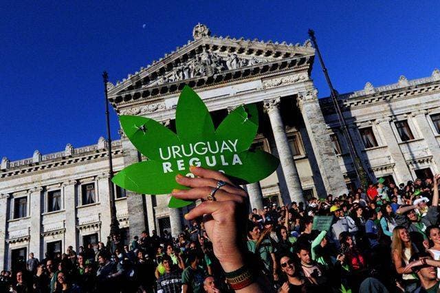 Eligen a Uruguay «país del año» por legalizar marihuana y aprobar matrimonio gay