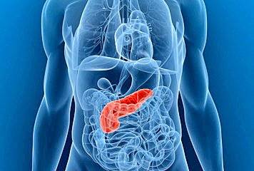 Investigadores españoles hallan una proteína que frena cáncer de páncreas