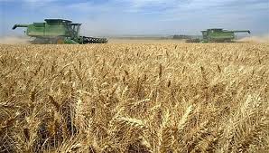 China comienza a importar trigo ruso por ferrocarril