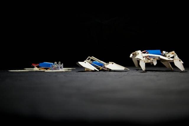 Crean un robot inspirado en el arte del origami