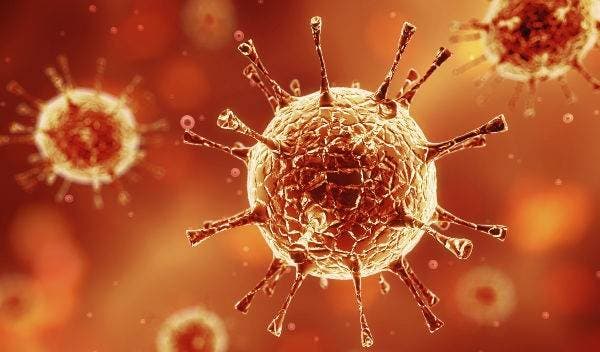 Cinco cosas que debes conocer del virus del Ébola