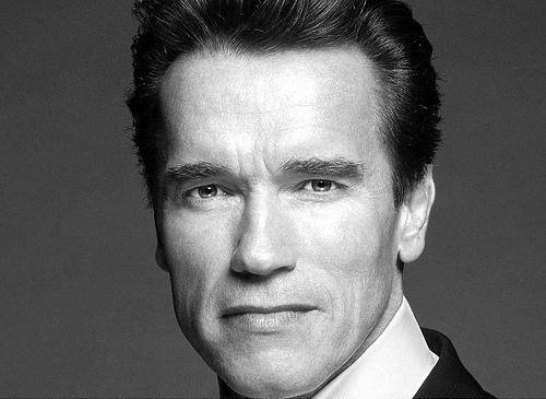 Schwarzenegger ya tiene su retrato oficial en el Capitolio de Sacramento