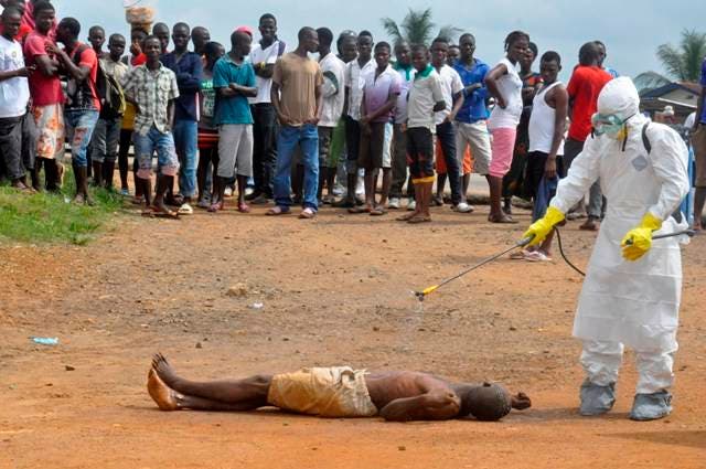 OMS pide mantener esfuerzos contra ébola pese asesinato educadores en Guinea