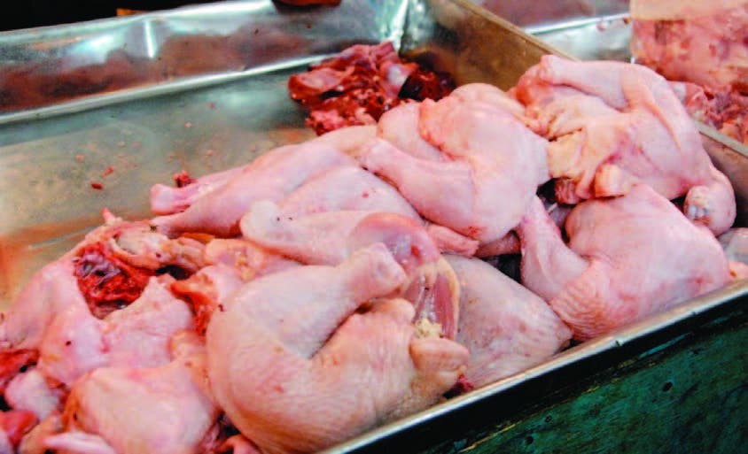 Ángel Estévez dice país contará con más de 85 millones libras de pollos para cenas navideña