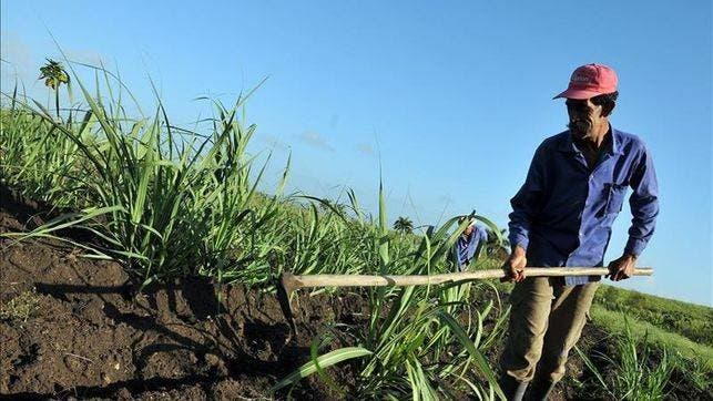 Colombia aumentará en un millón las hectáreas cultivadas hasta 2018