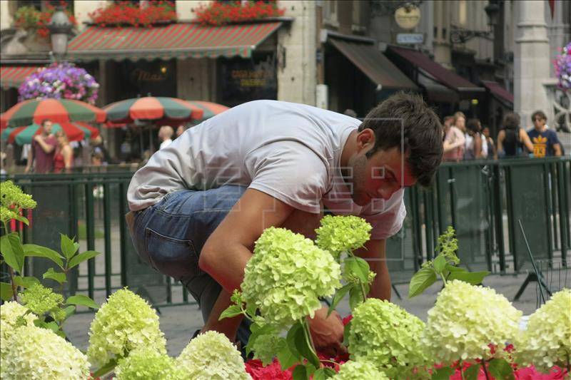 Los jardines del Barroco italiano invaden el corazón de Bruselas