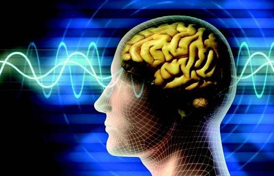 Científicos logran prevenir Alzheimer mediante inyección de gen en el cerebro