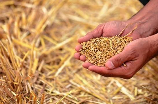EEUU comprará granos a Ucrania para dar a países pobres