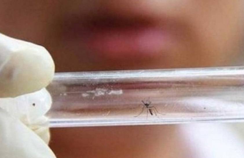Salud Pública reitera llamado a prevenir Zikavirus ante posible entrada al país
