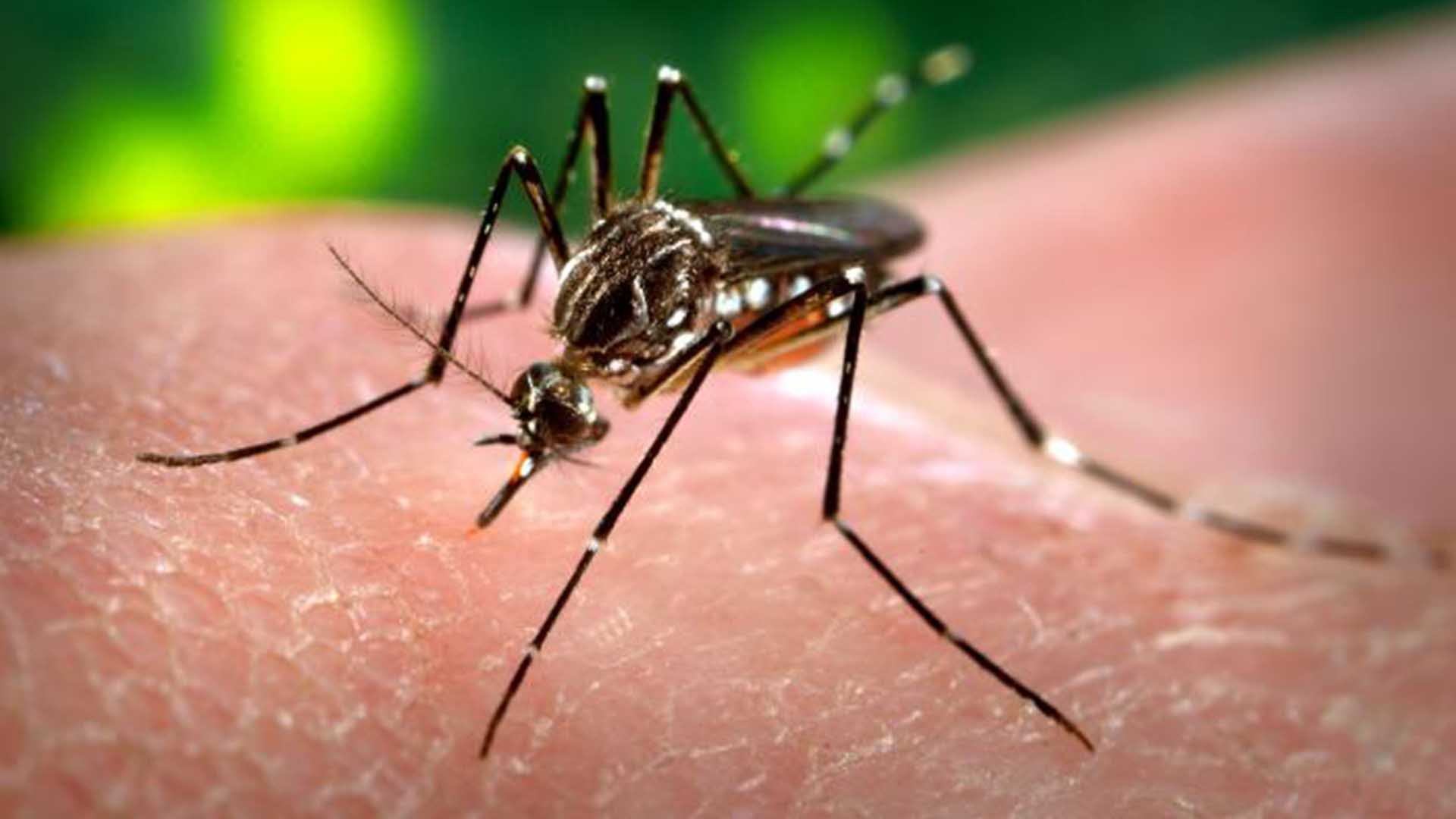 El zika no ha afectado la demanda hotelera del Caribe