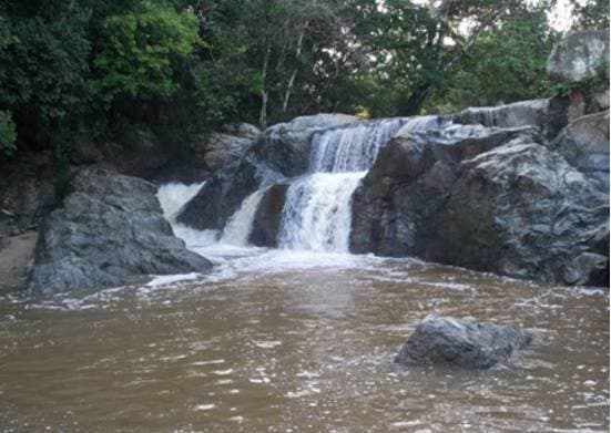 Codia se pone a disposición de RD y Haití para investigar impacto medioambiental desvío río Masacre