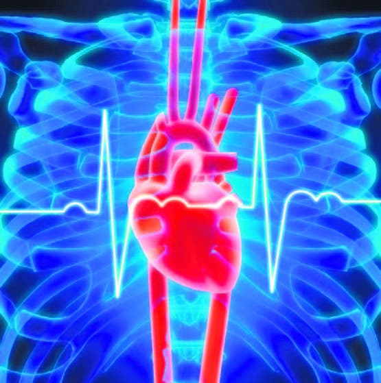 21 datos interesantes sobre tu corazón