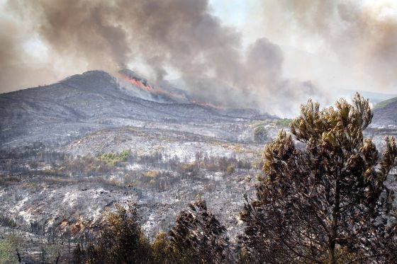 Incendio forestal  en España  afecta más de 3.000 hectáreas