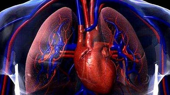 Insuficiencia cardíaca se esconde tras síntomas comunes