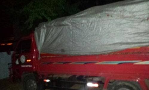 Apresan tres hombres con camión cargado de piñas sustraídas de una finca en Cotuí