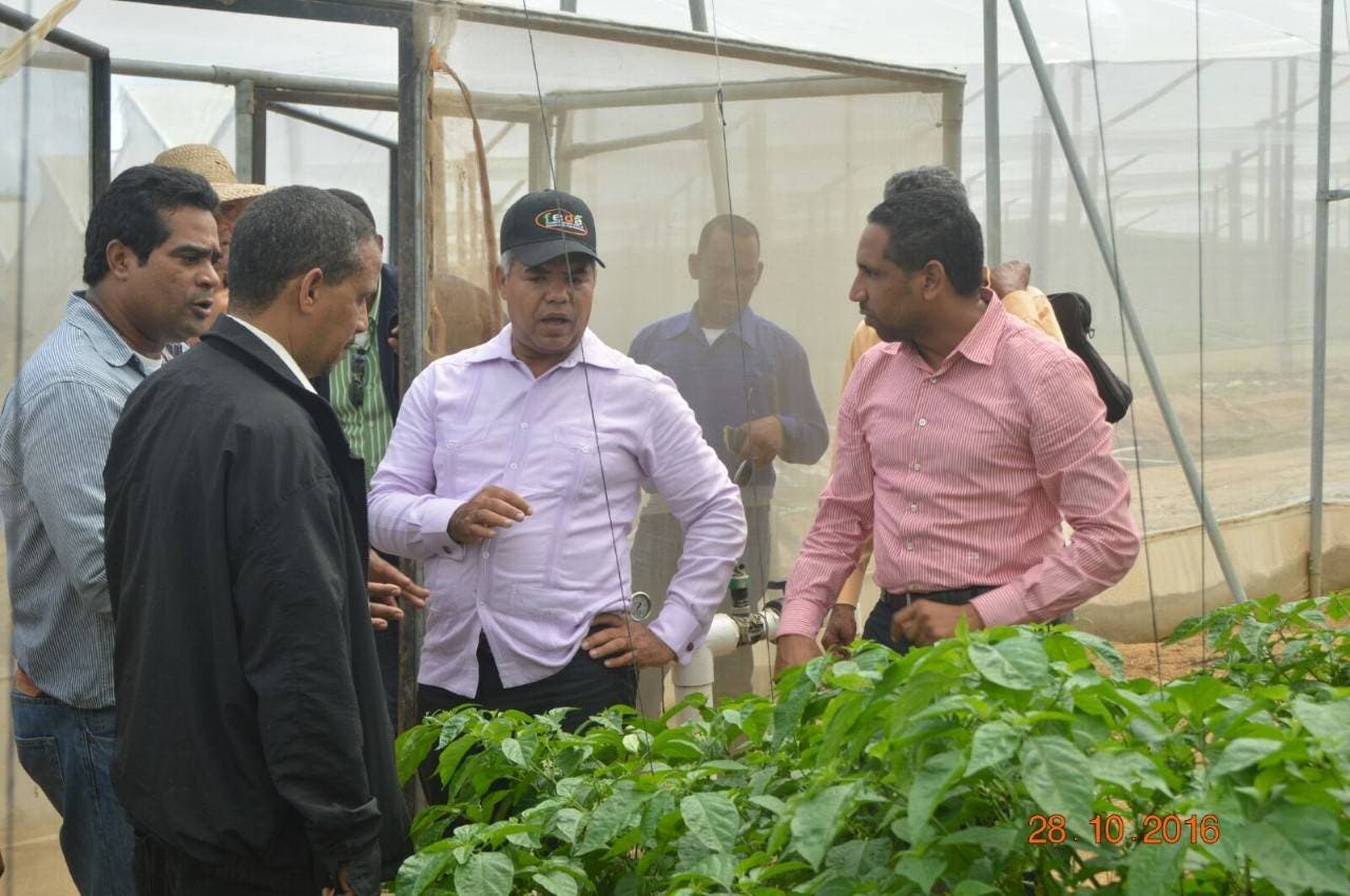 El FEDA financia 11 proyectos agropecuarios en Dajabón con una inversión de 123.41 millones de pesos