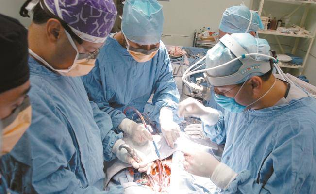 Órganos desarrollados en otras especies, los posibles trasplantes del futuro