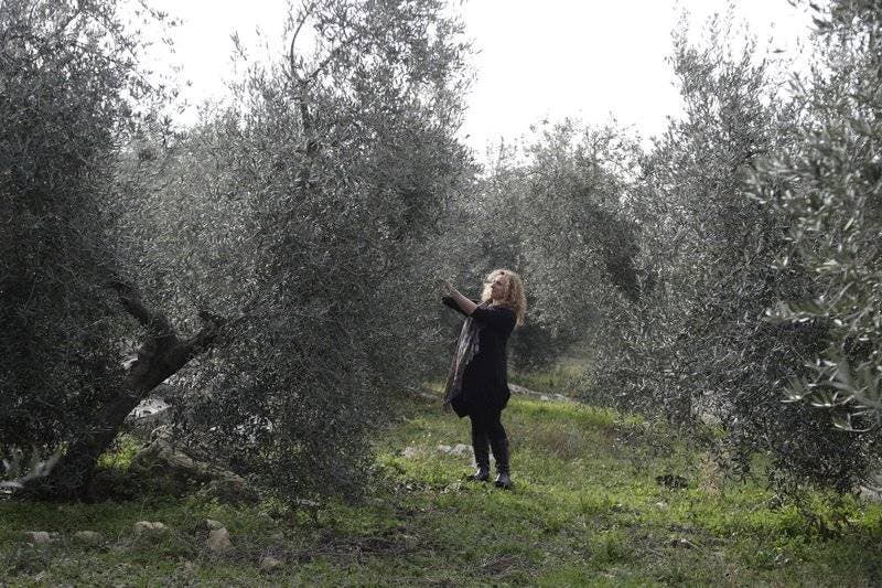 Mala cosecha italiana hace subir precios de aceite de oliva