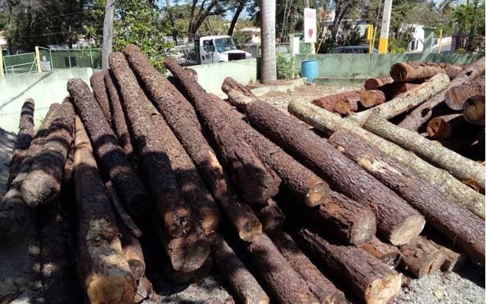 Derriban decenas de árboles para construir cabañas de veraneo en zona montañosa Jarabacoa