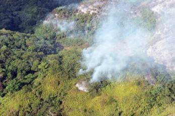 En el país se produjeron 166 incendios forestales el año pasado