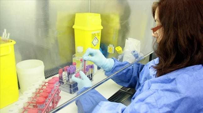 Virus modificados genéticamente atacan de forma selectiva a células tumorales
