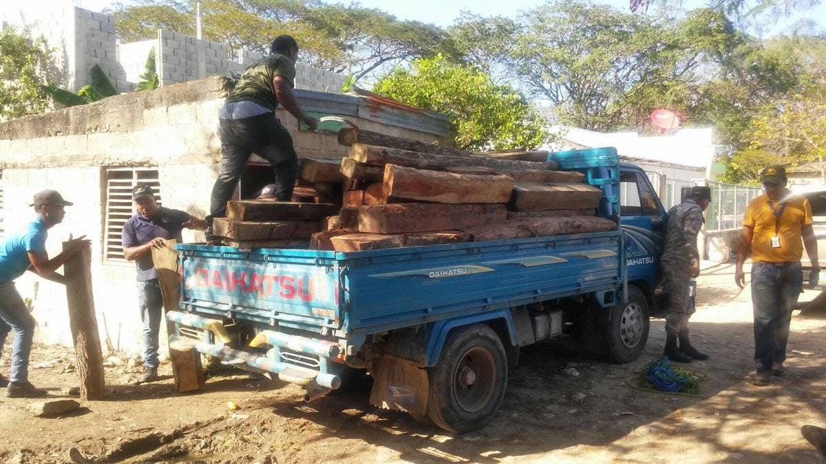 Medio Ambiente desmantela taller de madera preciosa en Villa Isabela