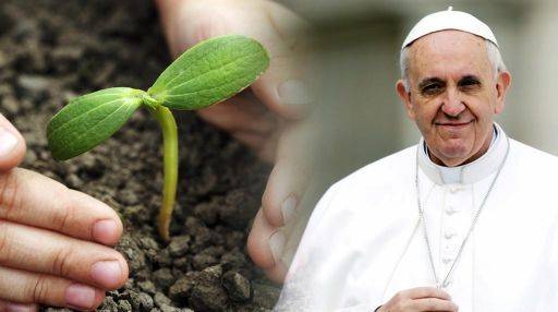 Día de la Tierra : El papa llama a proteger el mundo de la destrucción