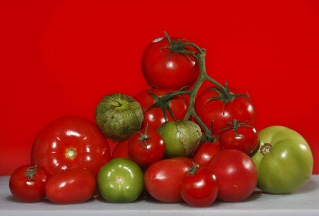 ¿Qué sabes del tomate?