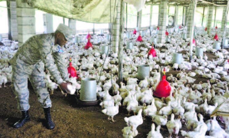 El coronel José Romero Pantaleón está a cargo de las tres granjas de producción de aves