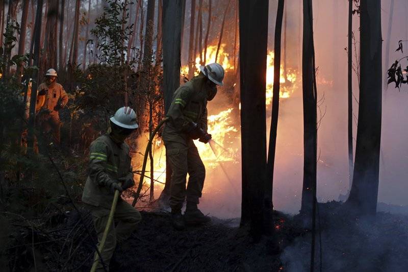 Portugal: Al menos 57 muertos en incendios forestales