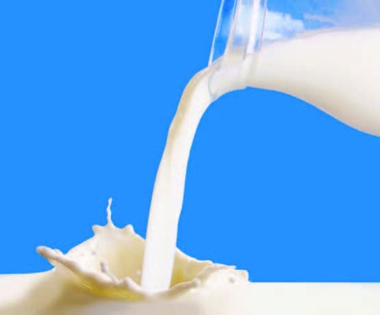 La leche y su inclusión en los programas de alimentación escolar