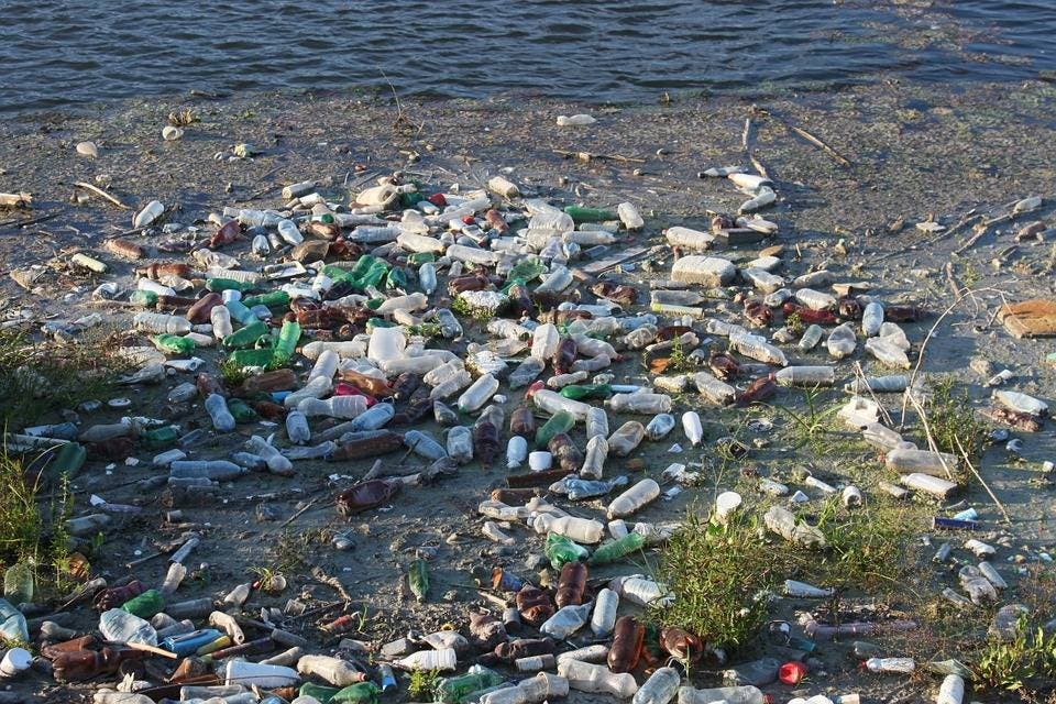 Video: La batalla por un mar libre de plásticos