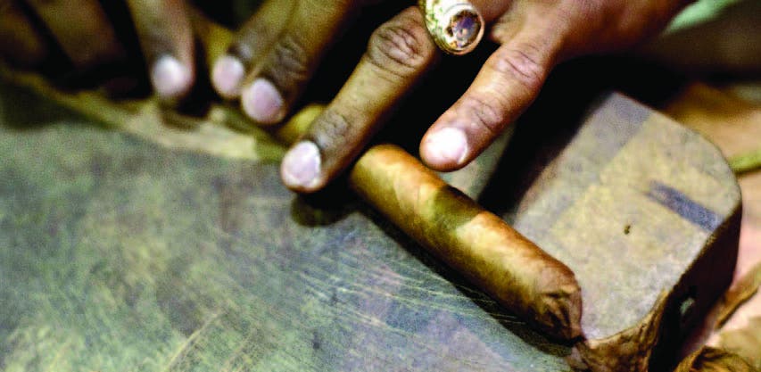 Exportaciones de tabaco y cigarros   representan 50% del sector agro