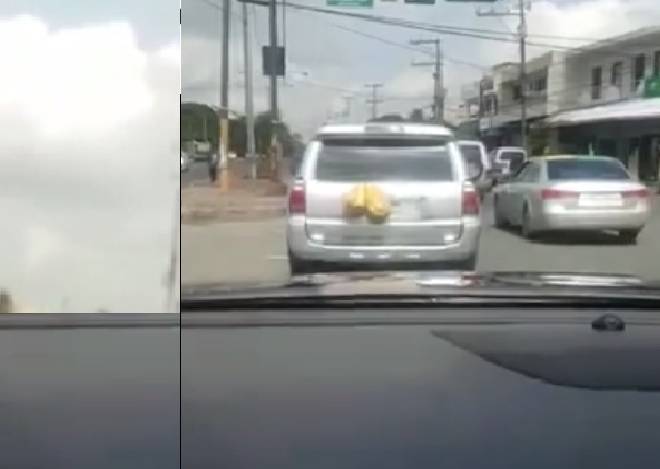 Video: Alcalde René Polanco persigue conductor llevaba dos fundas con basura en vehículo