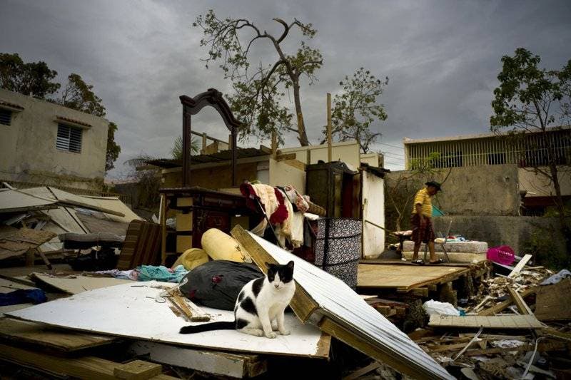 Miles de puertorriqueños llegan a EEUU tras huracán María