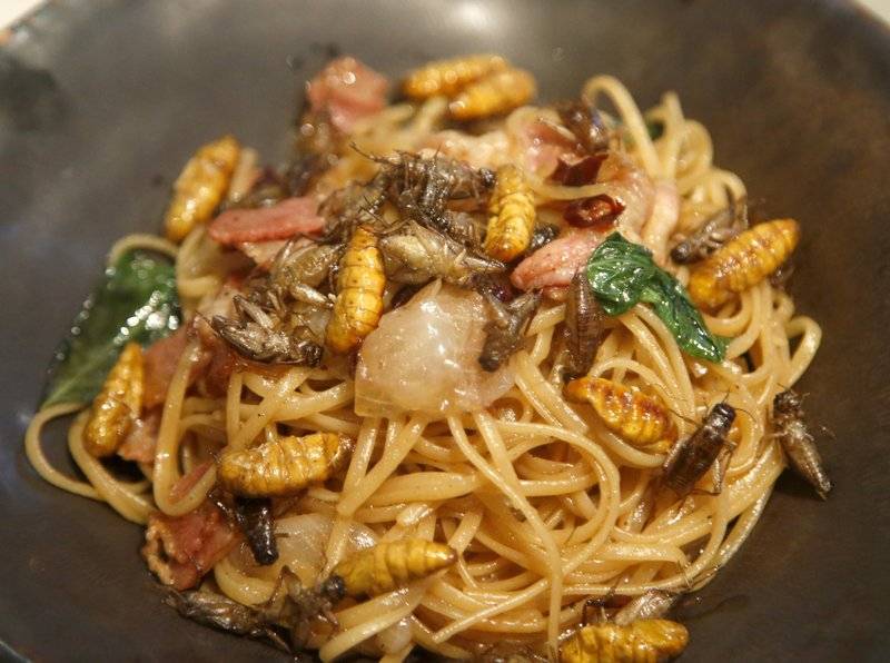 Los insectos se vuelven comida gourmet en Tailandia