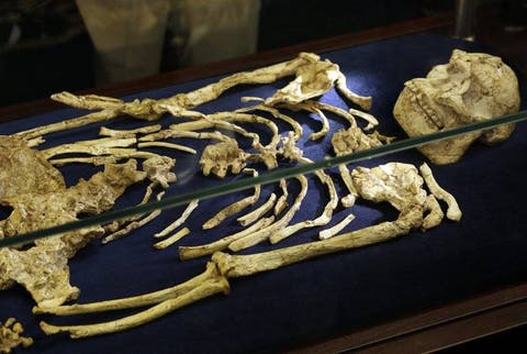 Hallan esqueleto humano de hace 3,6 millones de años