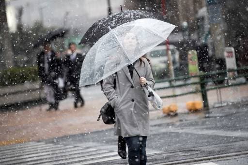 Cancelan vuelos y trenes por mayor nevada en cuatro años en Japón