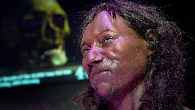 ADN indica que británico de 10 mil años tenía tez oscura