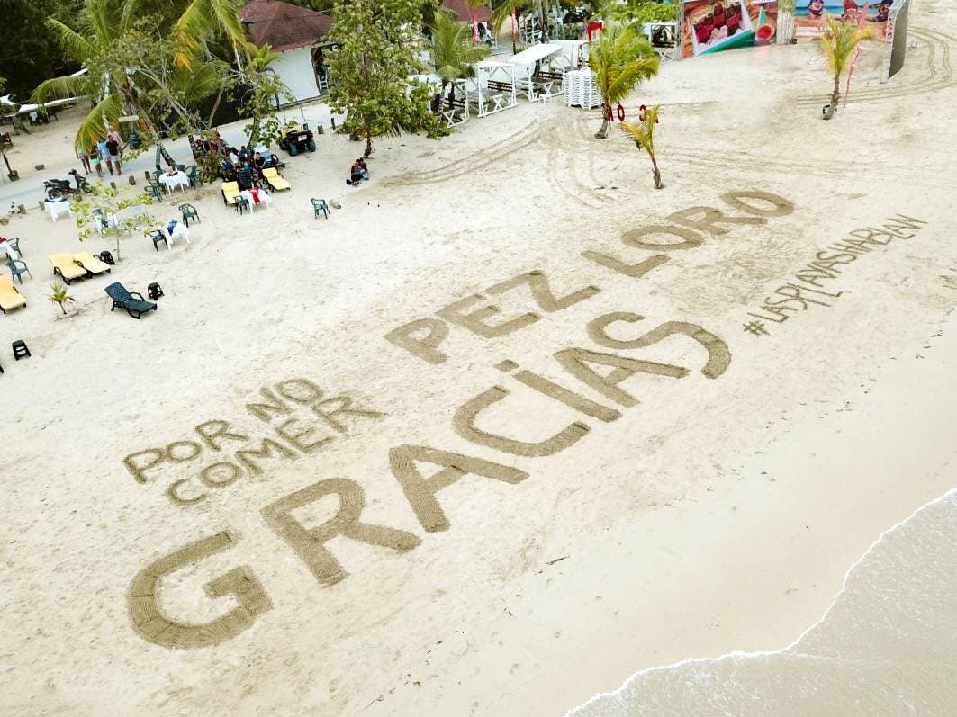 60 playas fueron intervenidas con mensajes para preservar el Pez Loro