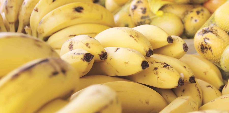 España: hallan alijo récord de cocaína escondida en bananas